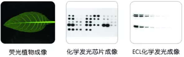 753bb0fc33acf88d43795e9709395974.png